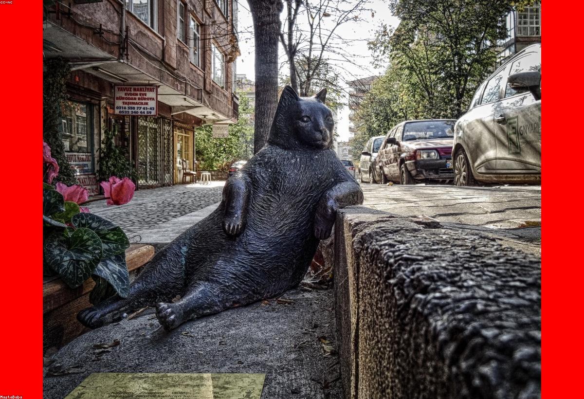 Живые подписчики Инстаграм и усиление Reels